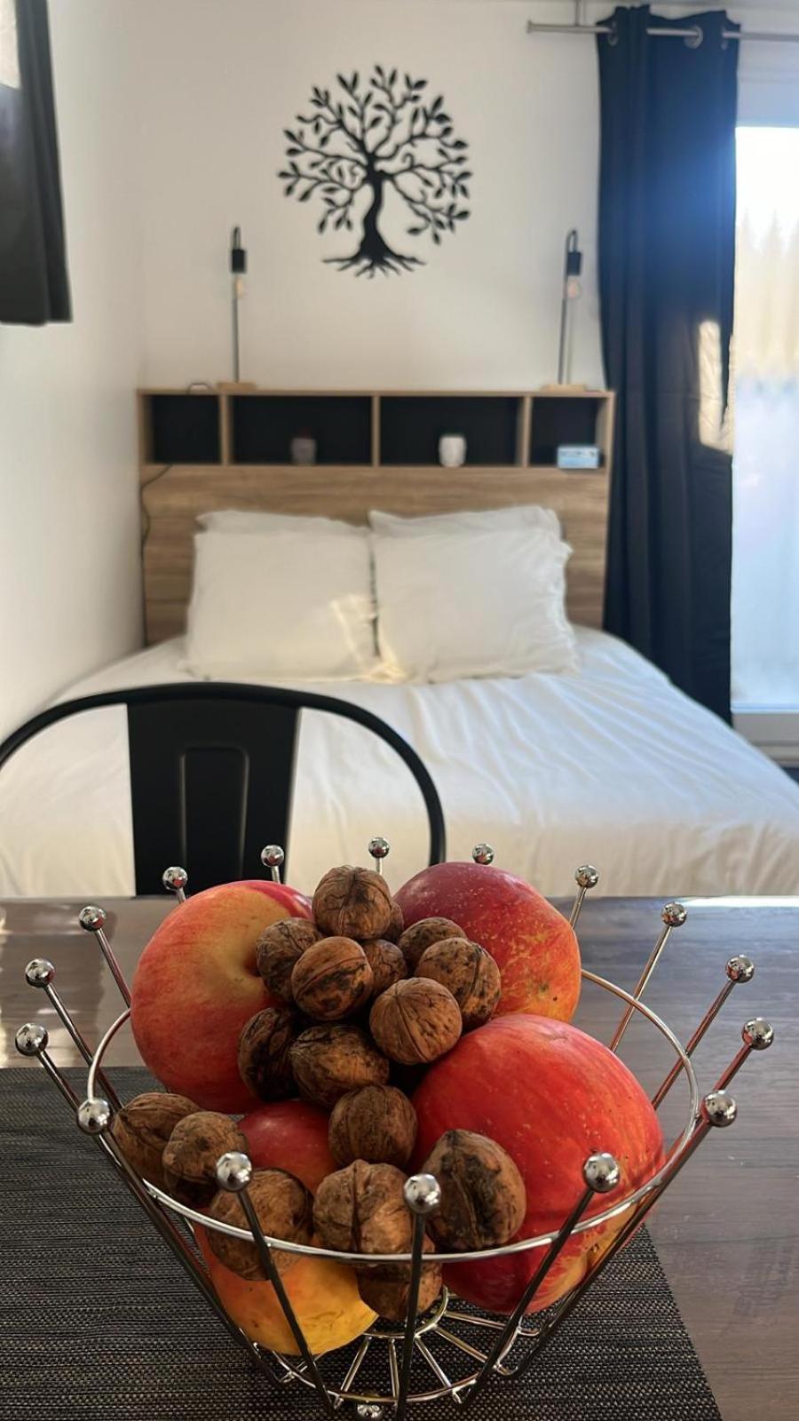 Studio Aux Pieds Des Vignes Eguisheim Εξωτερικό φωτογραφία