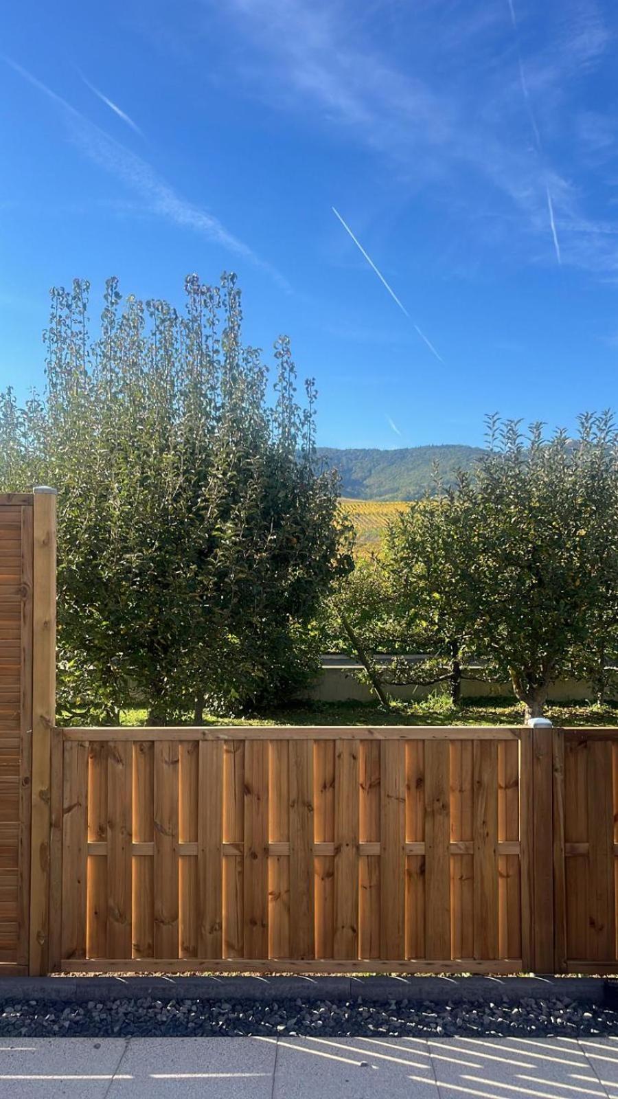Studio Aux Pieds Des Vignes Eguisheim Εξωτερικό φωτογραφία